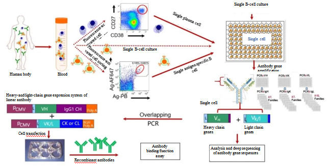 1651731913560895.jpg 01.jpg