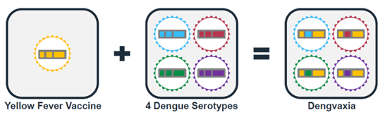 图2.png
