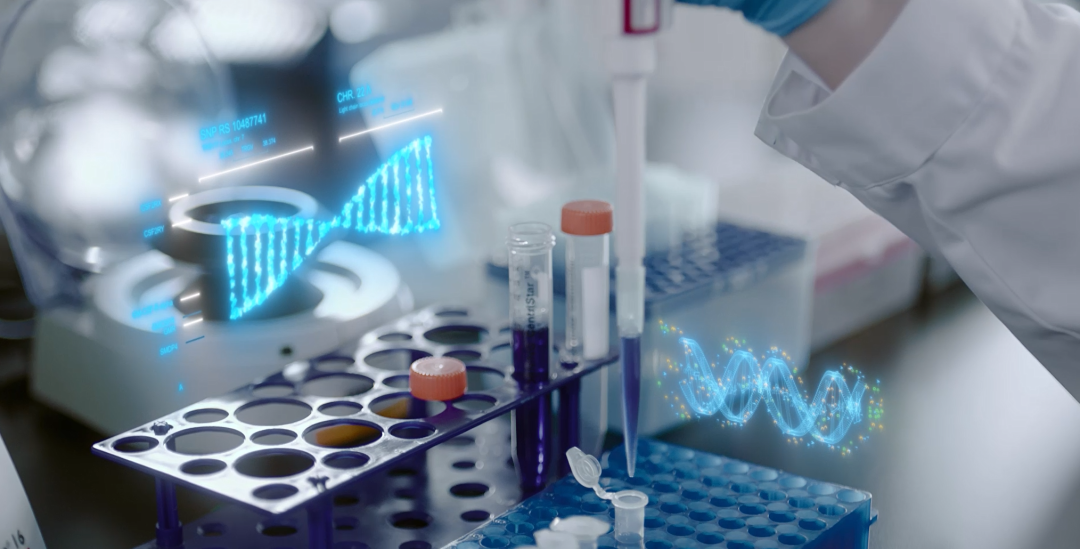 1765938063509999.png 图片1.png