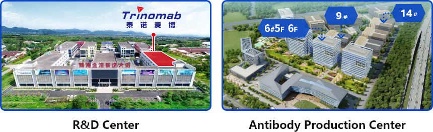 1768351340890341.png 英文.png